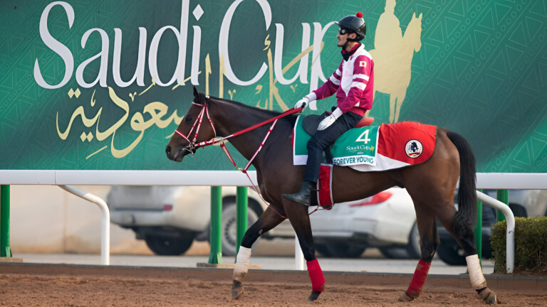 Saudi Racing Show KSA Sportz | Saudi Arabia Sports News, Scores & Highlights